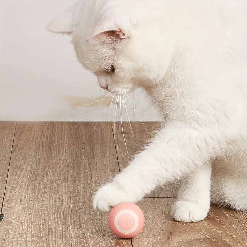 Smart Cat Ball – Endloser Spaß für Ihre Katze