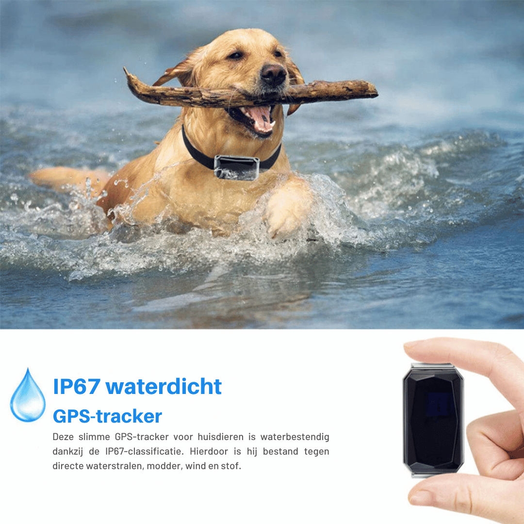 Mini GPS Tracker | Real-Time - Waterdicht - Huisdieren en Kinderen
