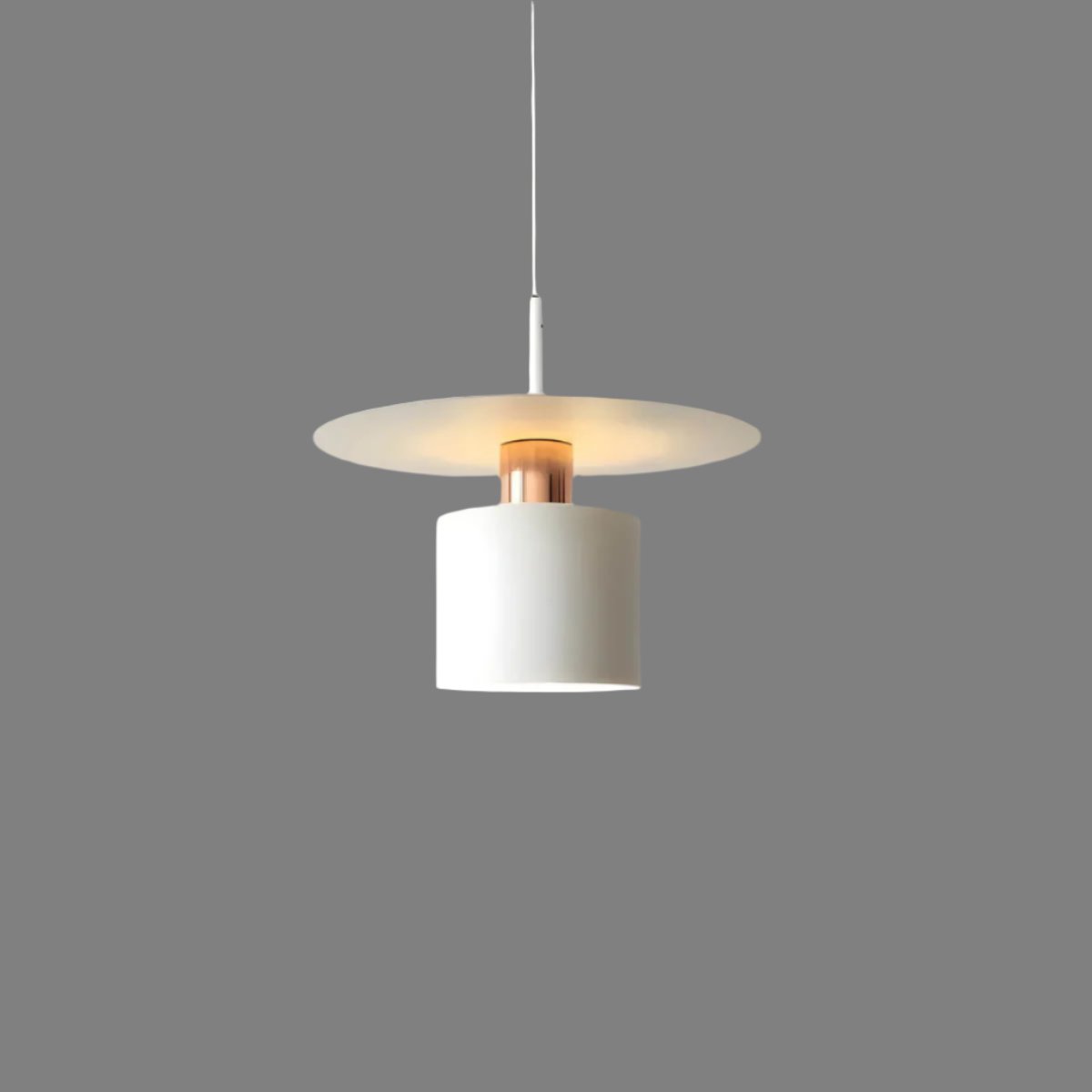 Moderne LED Pendel Lamp-light decor-De Bazelaar