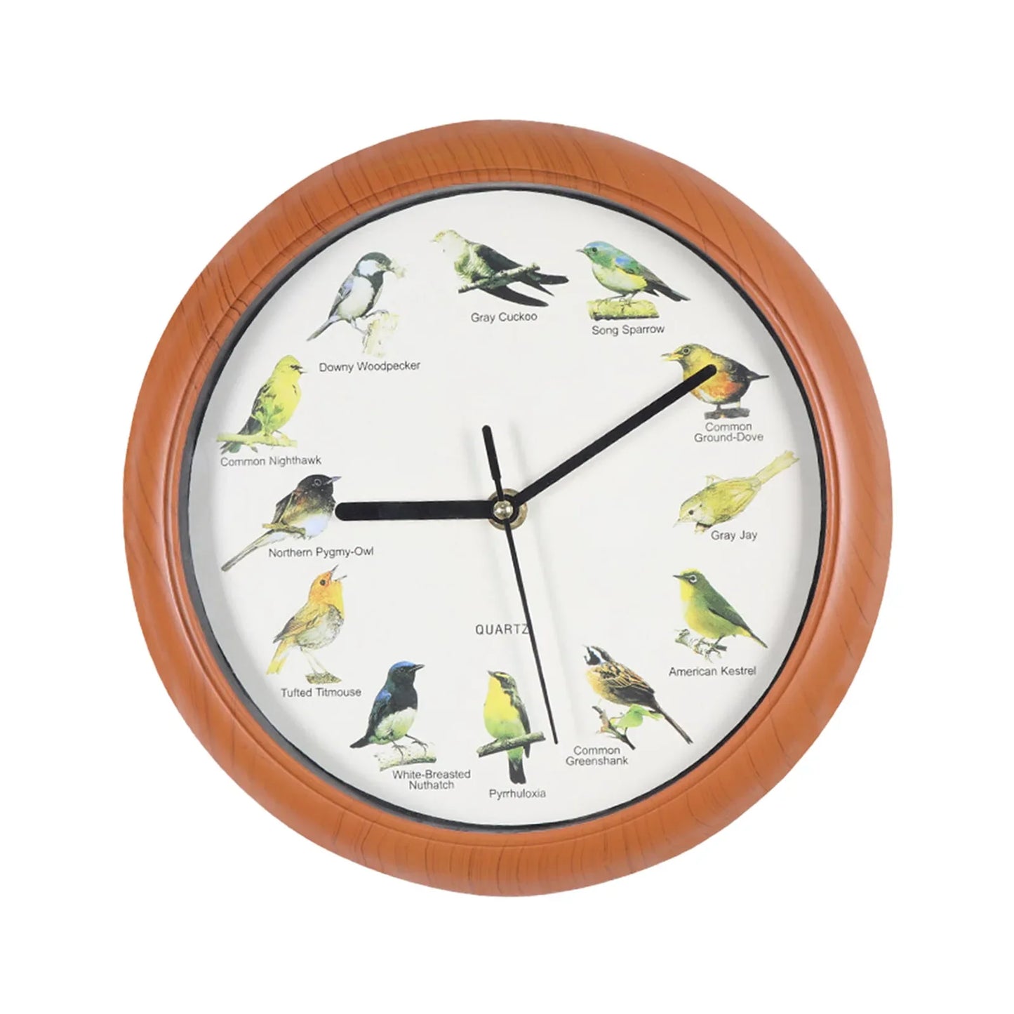 Wandklok - Decoratief Tijdstuk met Vogelgeluiden - Unieke Sfeer-Wall Clocks-De Bazelaar