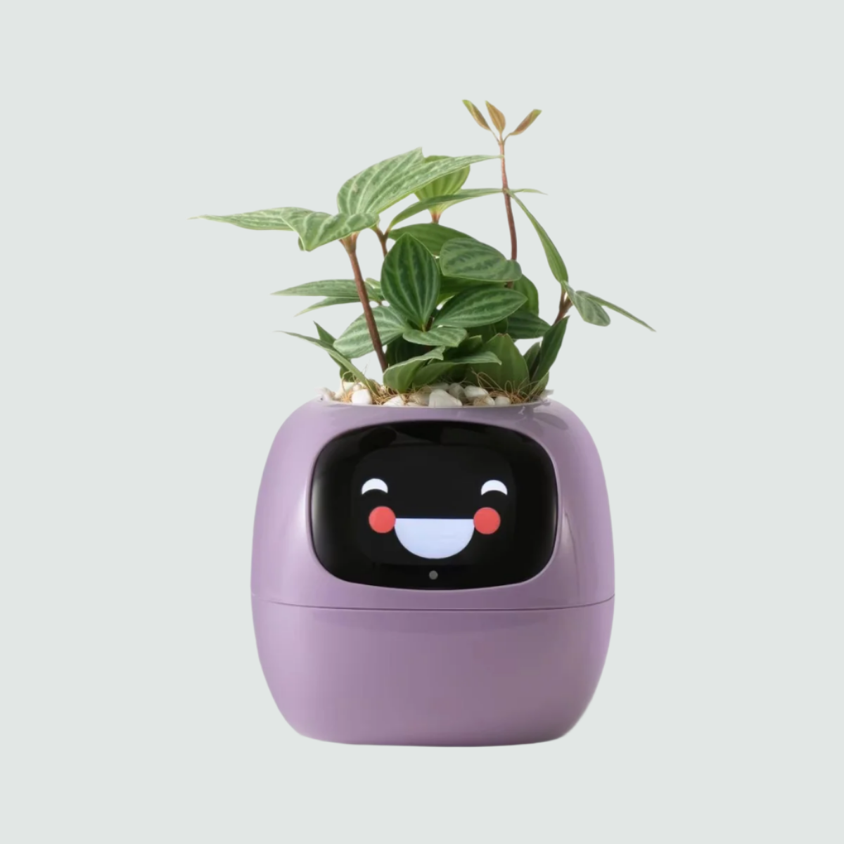 Ivy Smart Flowerpot – Mühelose Pflanzenpflege mit KI