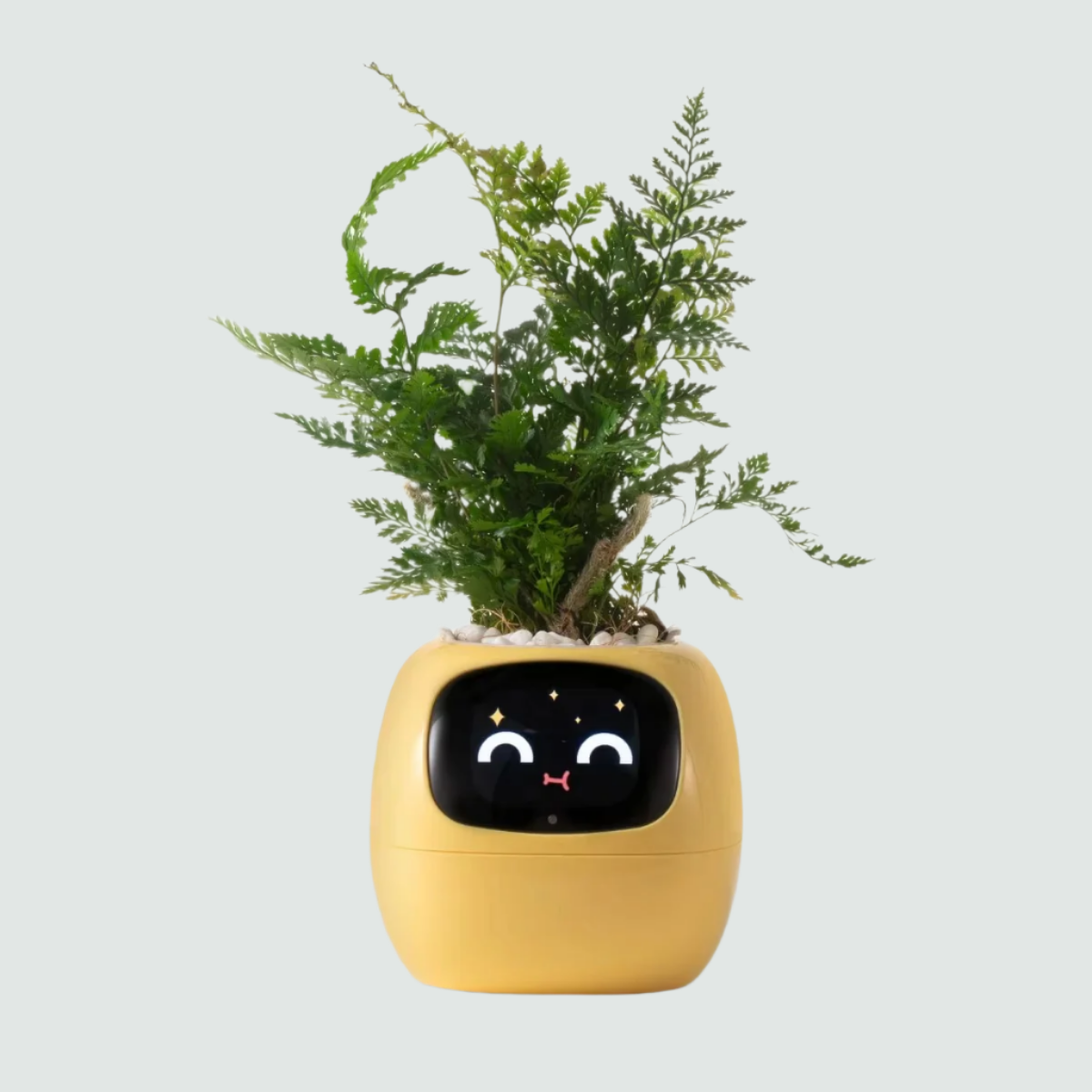 Ivy Smart Flowerpot – Mühelose Pflanzenpflege mit KI
