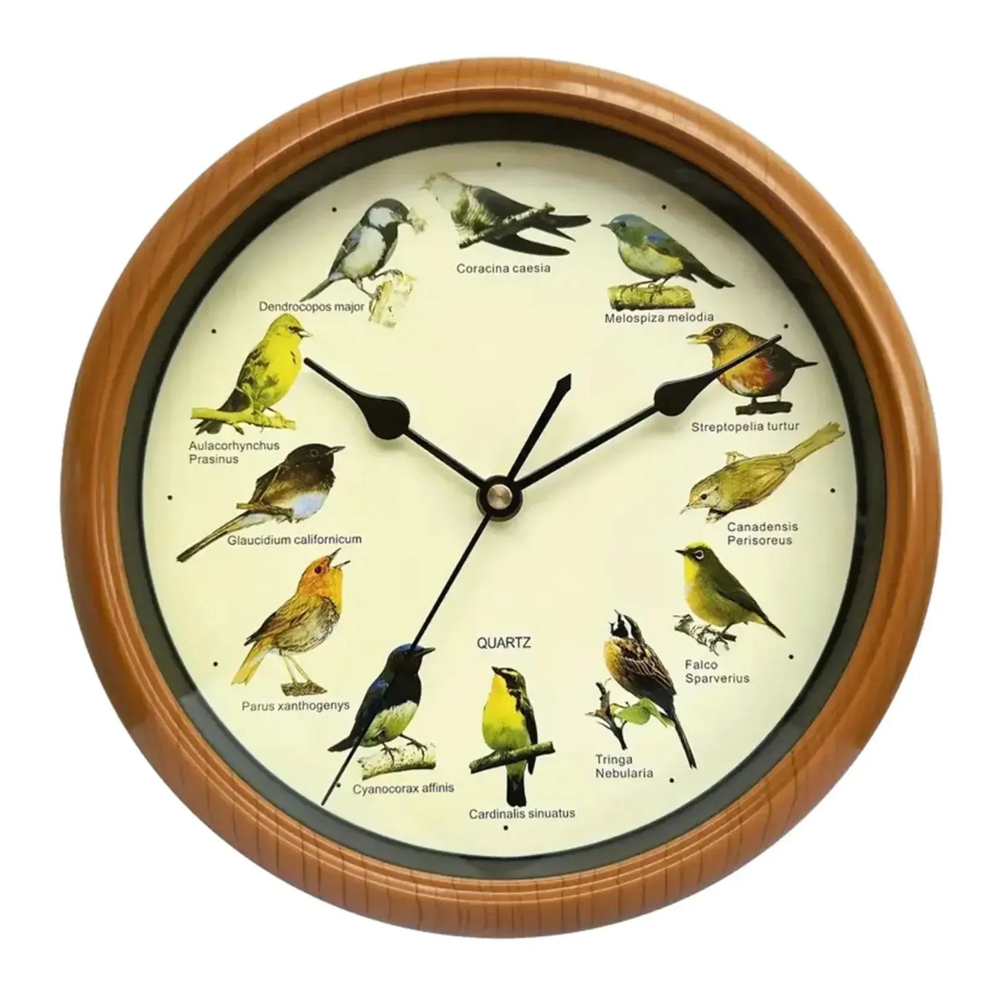 Wandklok - Decoratief Tijdstuk met Vogelgeluiden - Unieke Sfeer-Wall Clocks-De Bazelaar
