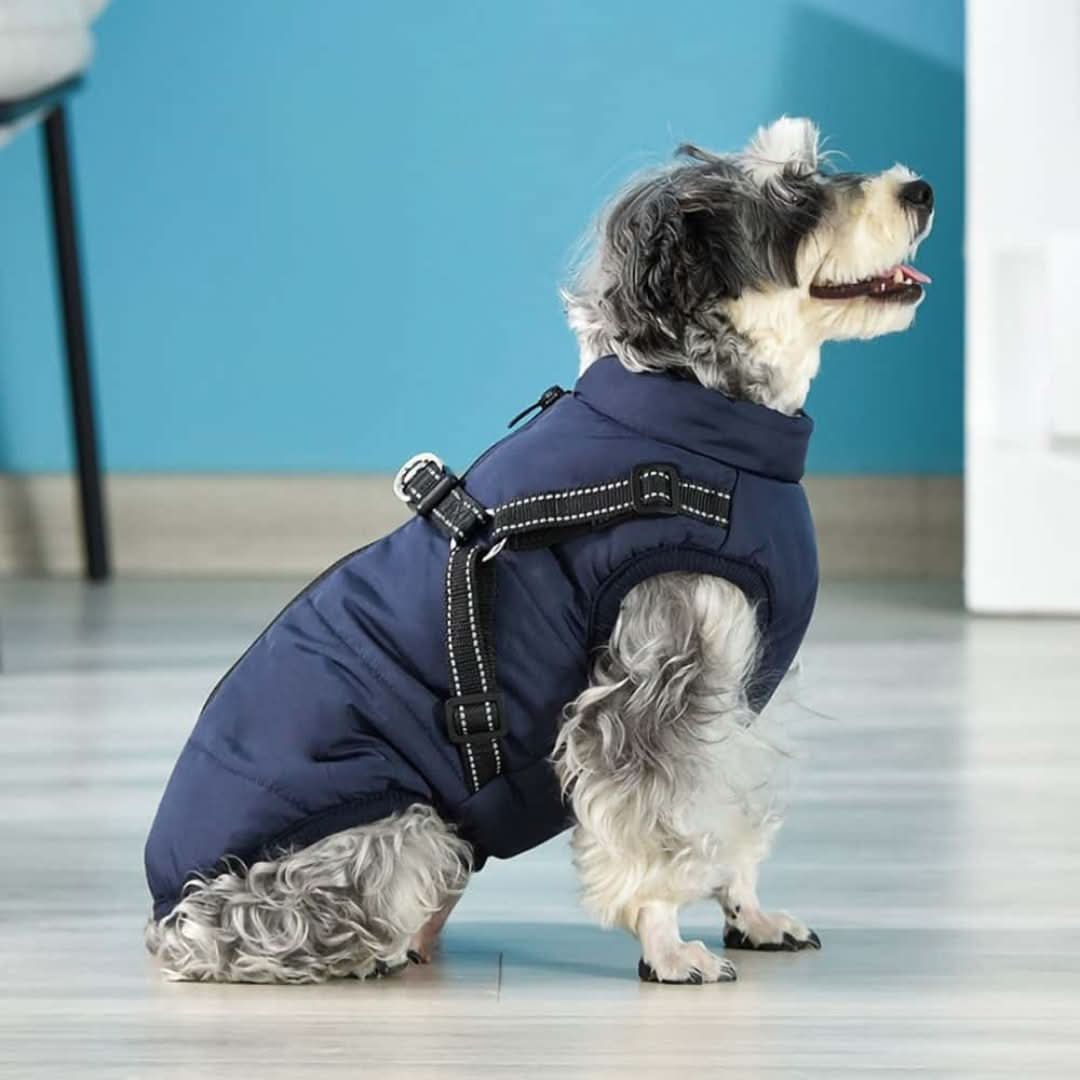 CozyBuddy™ | Waterdichte Winterjas + Ingebouwd Harnas - #CozyBuddy™ | Waterdichte Winterjas + Ingebouwd HarnasDe Bazelaar