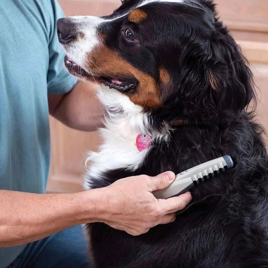 F-Electric | Huisdieren-Trimkit - #F-Electric | Huisdieren-TrimkitDe Bazelaar