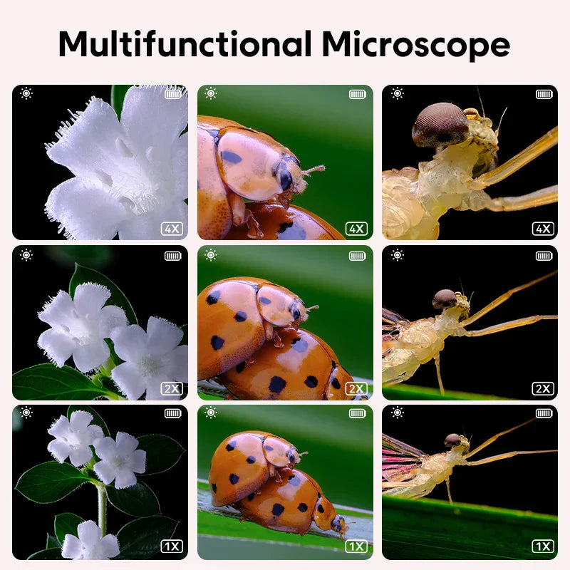 Mini Kids Microscope™ - Ontdek de Wereld - Magische Wetenschapservaring-Microscope-De Bazelaar