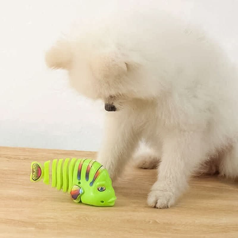 Swinging Cartoon Vissen | Speelgoed - #Swinging Cartoon Vissen | SpeelgoedDe Bazelaar