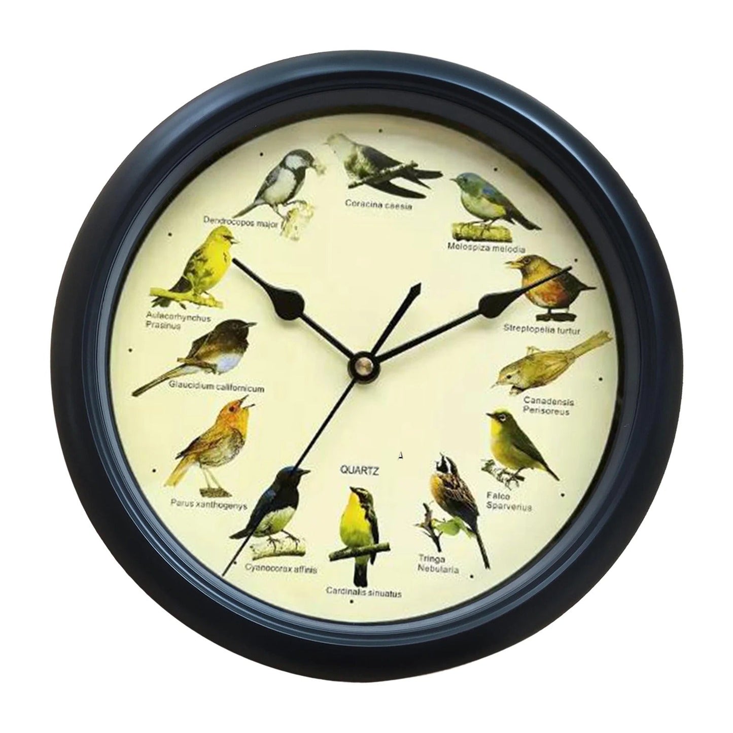 Wandklok - Decoratief Tijdstuk met Vogelgeluiden - Unieke Sfeer-Wall Clocks-De Bazelaar