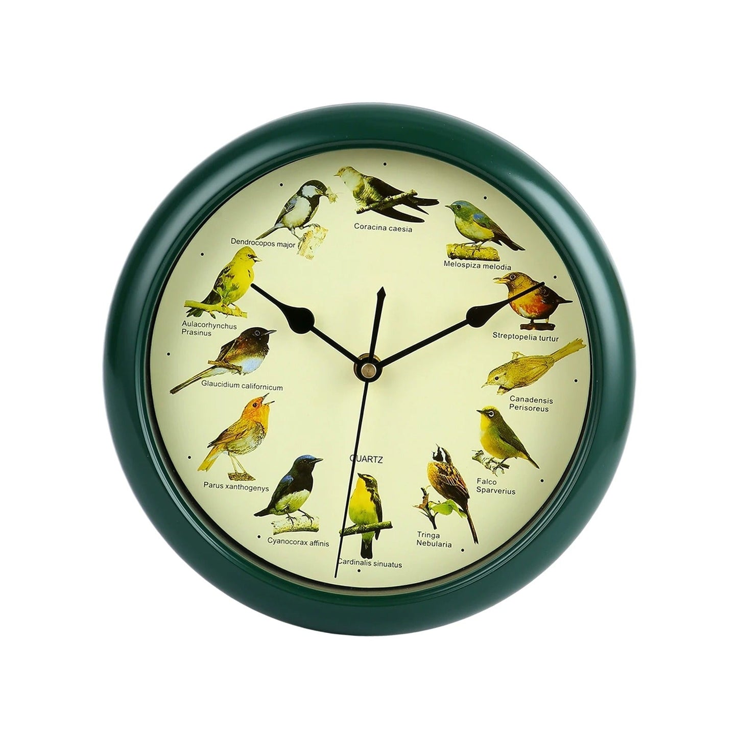 Wandklok - Decoratief Tijdstuk met Vogelgeluiden - Unieke Sfeer-Wall Clocks-De Bazelaar