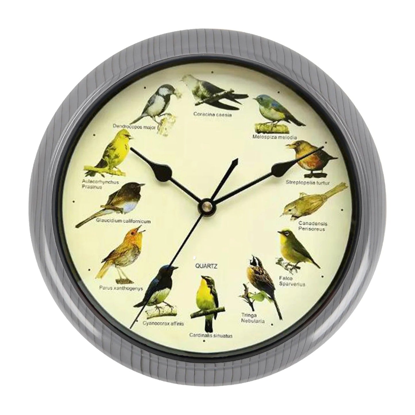 Wandklok - Decoratief Tijdstuk met Vogelgeluiden - Unieke Sfeer-Wall Clocks-De Bazelaar