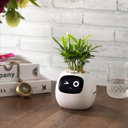 Ivy Smart Flowerpot – Mühelose Pflanzenpflege mit KI 