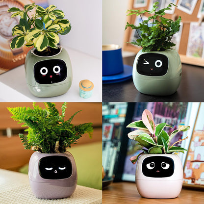 Ivy Smart Flowerpot – Mühelose Pflanzenpflege mit KI 