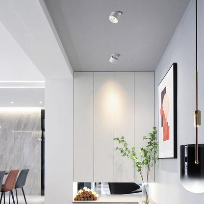 Ingebouwde Cilindrische LED Downlight-light decor-De Bazelaar