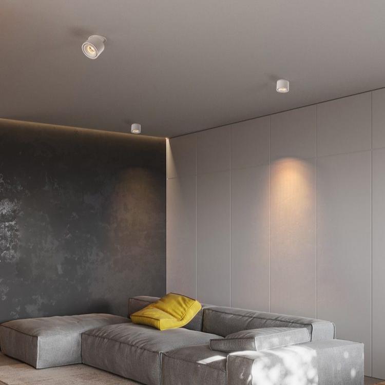 Ingebouwde Cilindrische LED Downlight-light decor-De Bazelaar