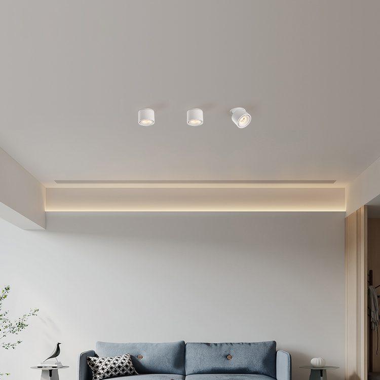 Ingebouwde Cilindrische LED Downlight-light decor-De Bazelaar