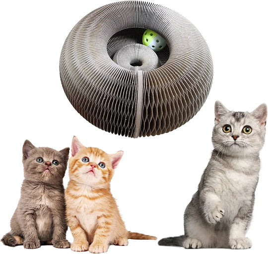 Spielen und kratzen Sie mit dem Magic Organ Scratching Board 