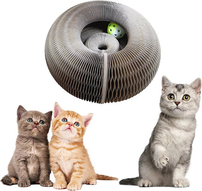 Spielen und kratzen Sie mit dem Magic Organ Scratching Board 