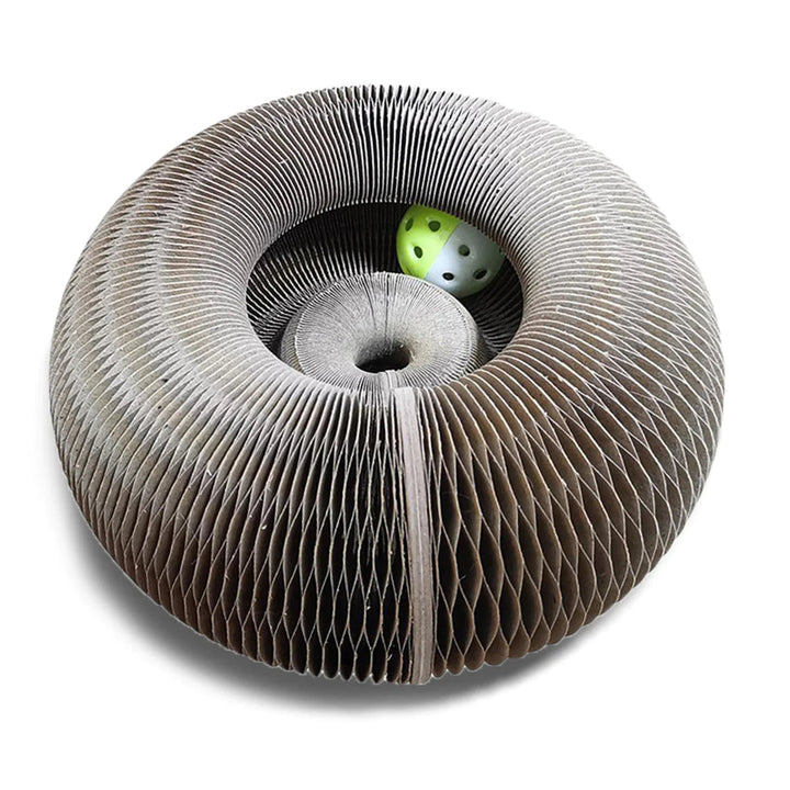 Spielen und kratzen Sie mit dem Magic Organ Scratching Board 