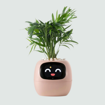 Ivy Smart Flowerpot – Mühelose Pflanzenpflege mit KI 