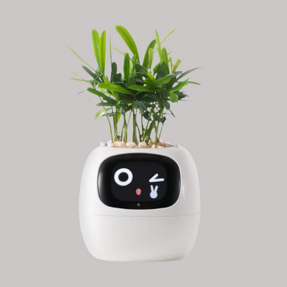 Ivy Smart Flowerpot – Mühelose Pflanzenpflege mit KI 
