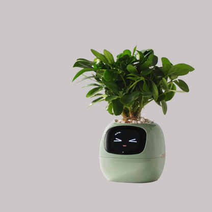 Ivy Smart Flowerpot – Mühelose Pflanzenpflege mit KI 