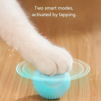 Smart Cat Ball – Endloser Spaß für Ihre Katze 