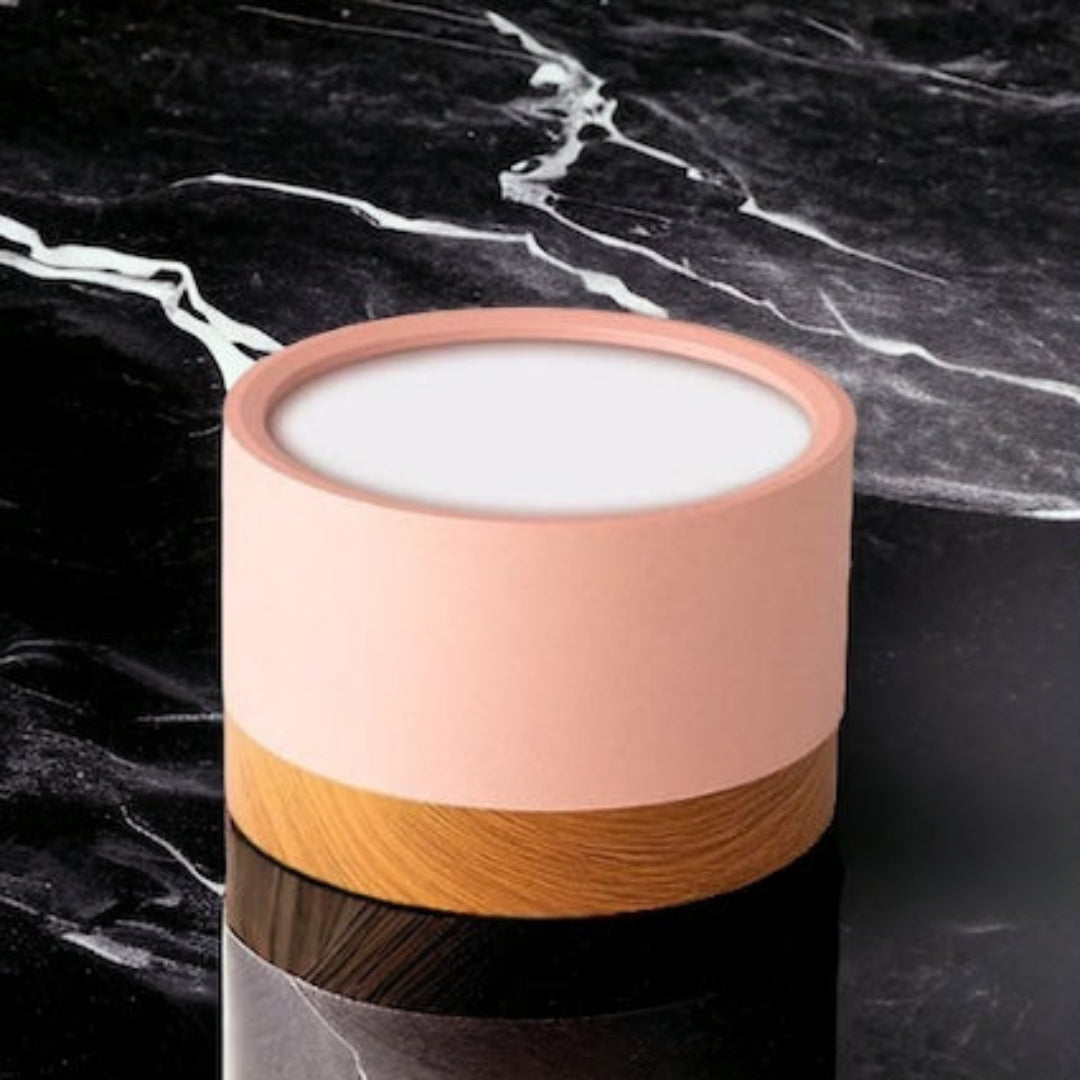 Nordic Moderne LED Inbouwspot - Dimfunctie & Energiezuinig