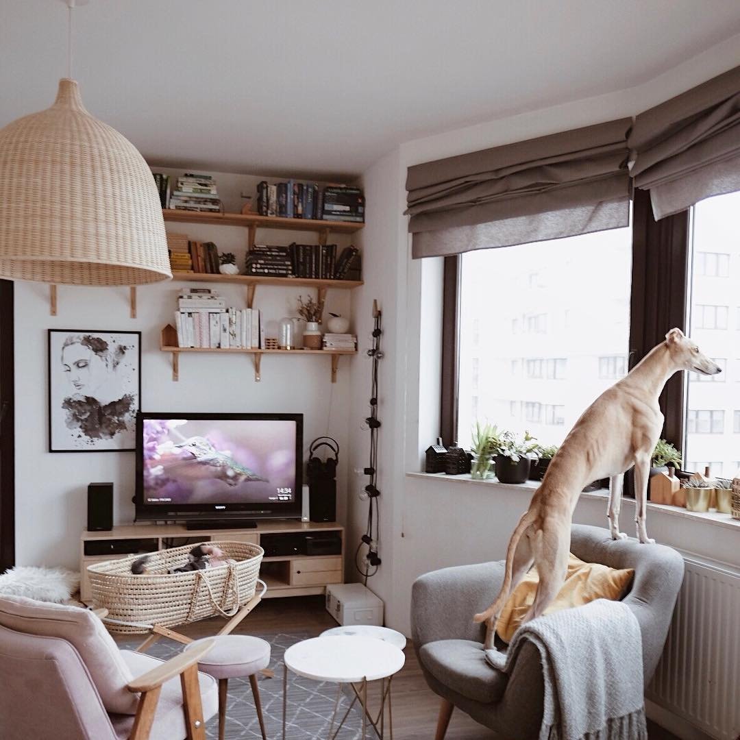 Noordse Rieten Hanglamp – Handgemaakt en Ecologisch-light decor-De Bazelaar