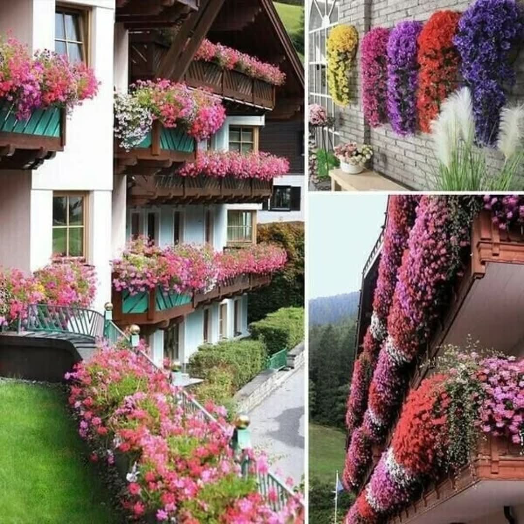 Violette | Bloemenhangende Mand - #Violette | Bloemenhangende MandDe Bazelaar