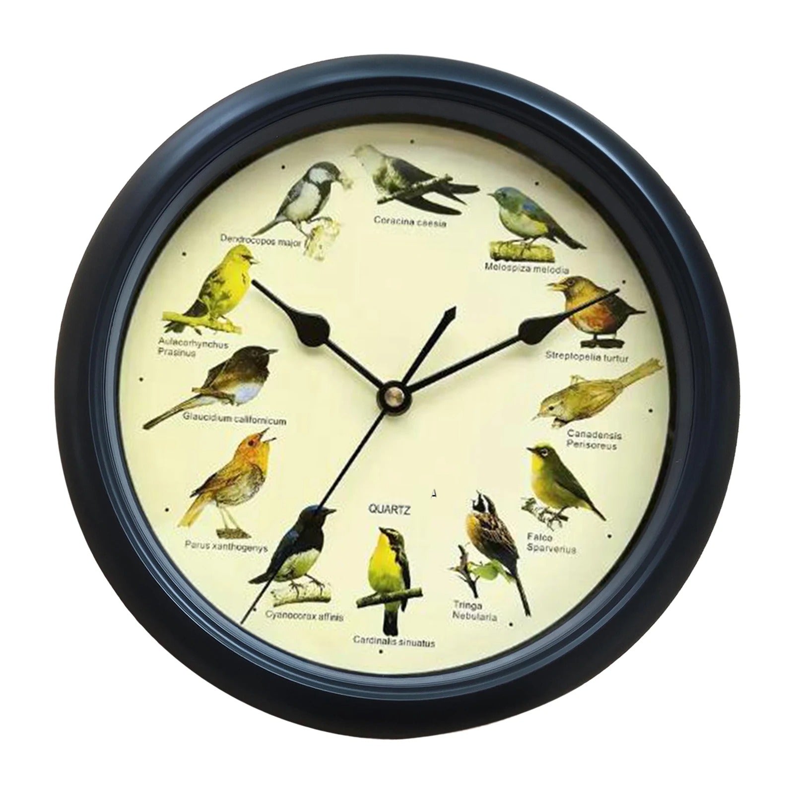 Wandklok - Decoratief Tijdstuk met Vogelgeluiden - Unieke Sfeer-Wall Clocks-De Bazelaar